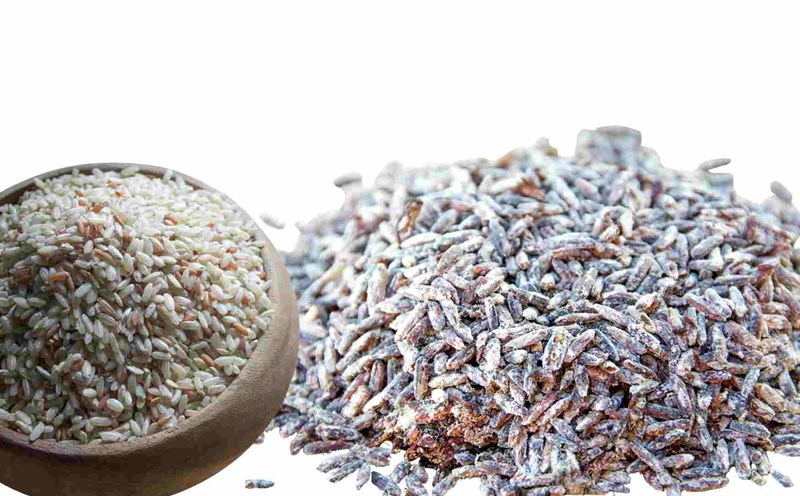 Black rice can damage the liver and kidneys. Graphics: Ha May