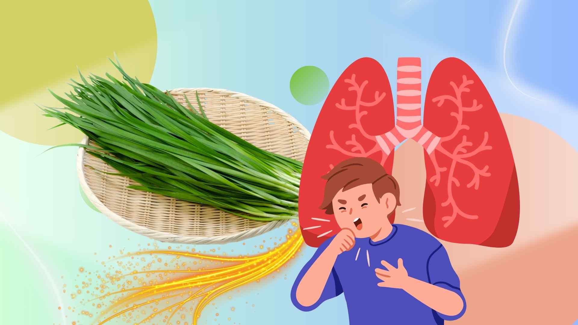 3 tips for using chives to help the lungs lighten, clear phlegm, and reduce cough. Graphic photo: Hoang Loc