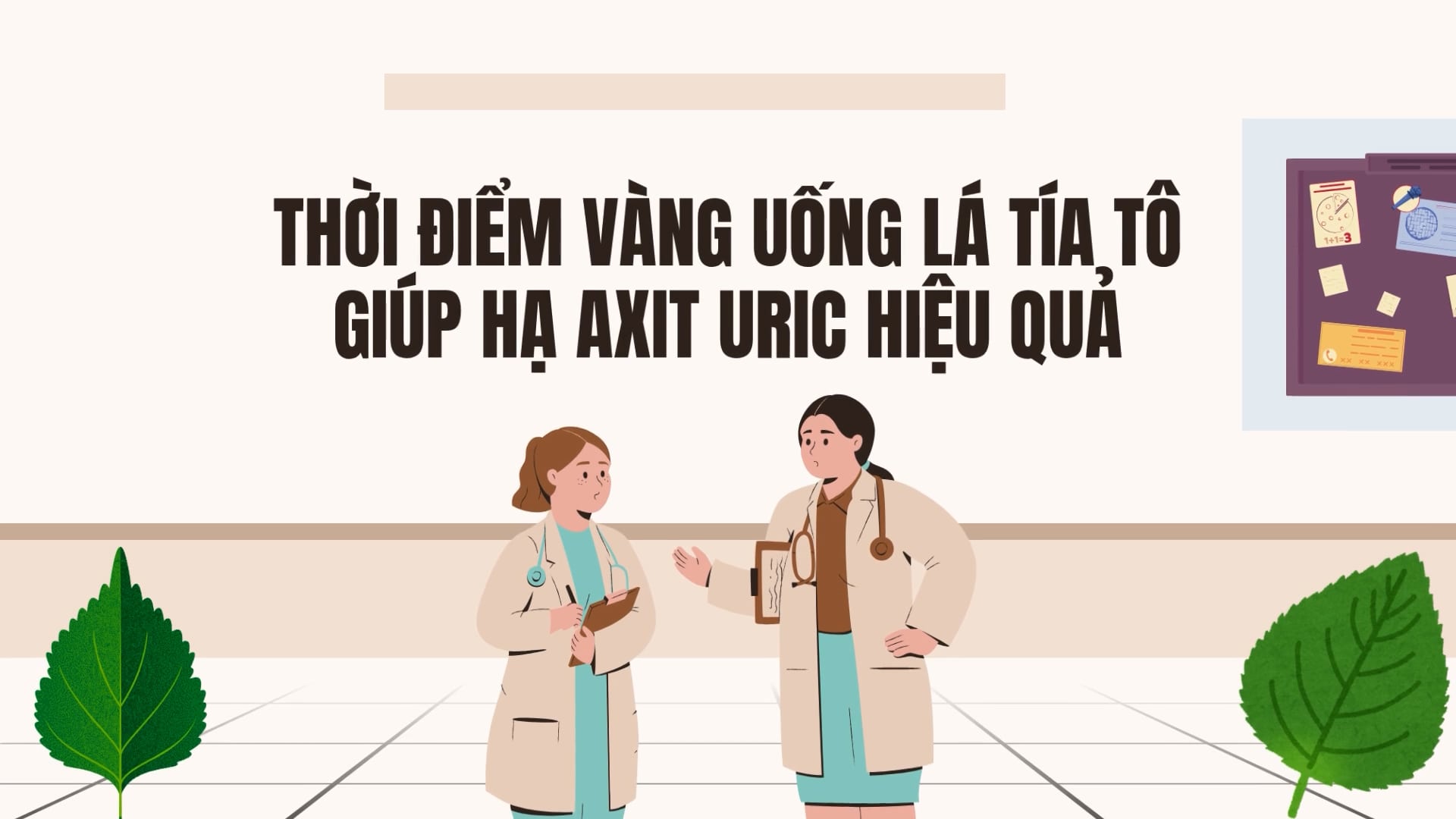 요산 수치를 효과적으로 낮추는 차조기 잎 섭취의 황금기