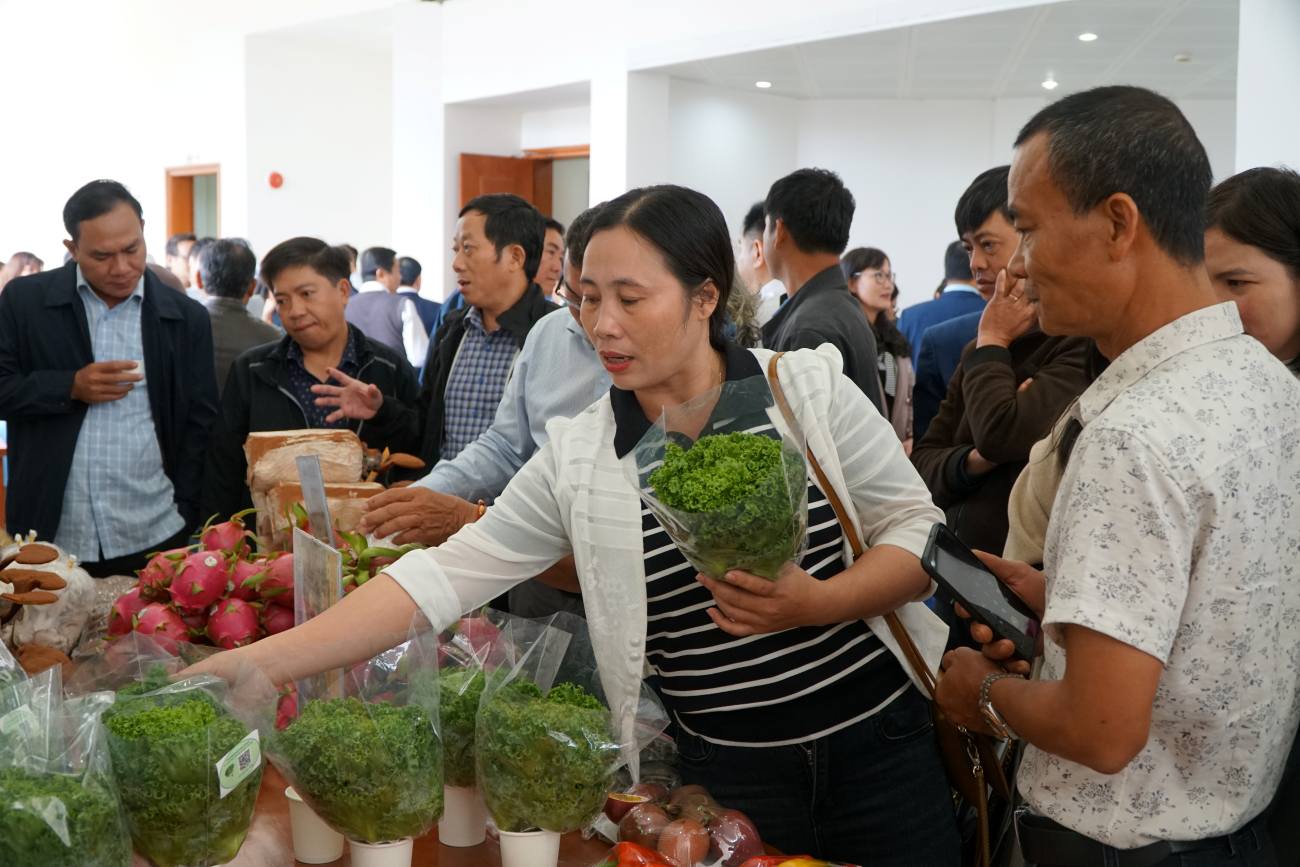 Lam Dong province plays an important role in providing safe and stable food to Ho Chi Minh City. Photo: Thanh Chan