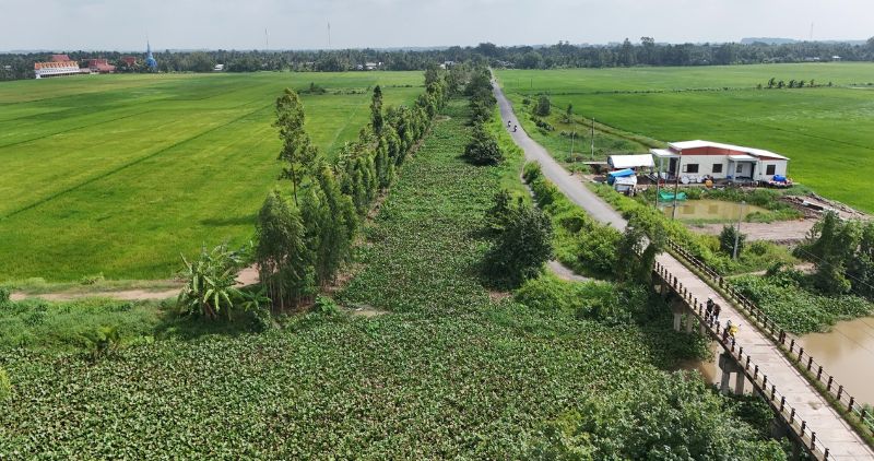 Anh: Hoang Loc