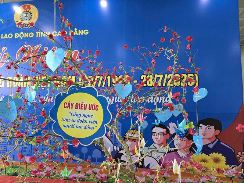 Cay dieu uoc la noi lang nghe tam su cua doan vien. Anh: Tan Van