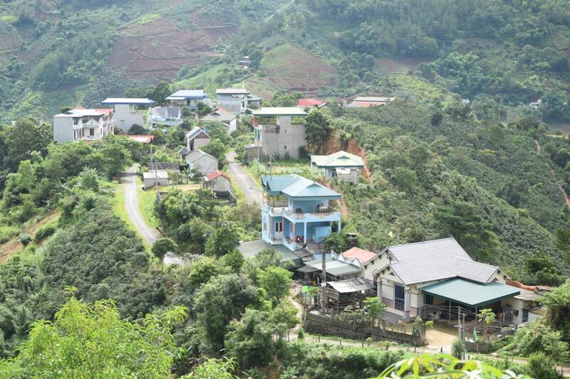 Anh: Truong Son