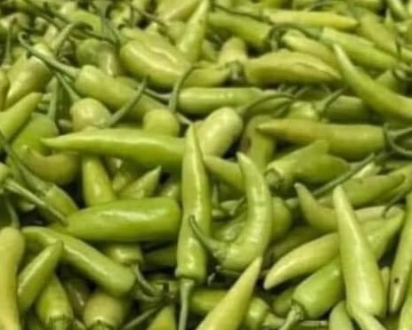 Eating chili properly is said to be beneficial for people with high blood pressure. Photo: Kieu Vu