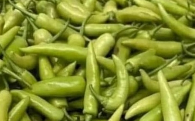 Eating chili properly is said to be beneficial for people with high blood pressure. Photo: Kieu Vu