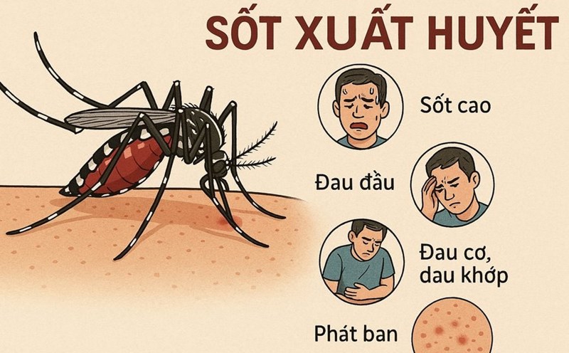 Warning of dengue fever peak. Graphics: Huong Giang