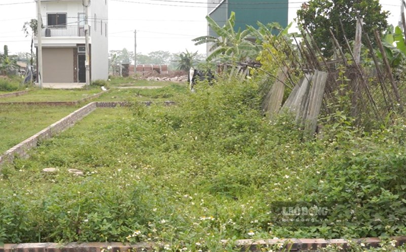 From July 1, 2025, the determination of specific land prices when extending land use will be decided by the Chairman of the People's Committee at the provincial and commune levels depending on his authority. Photo: Nhu Ha