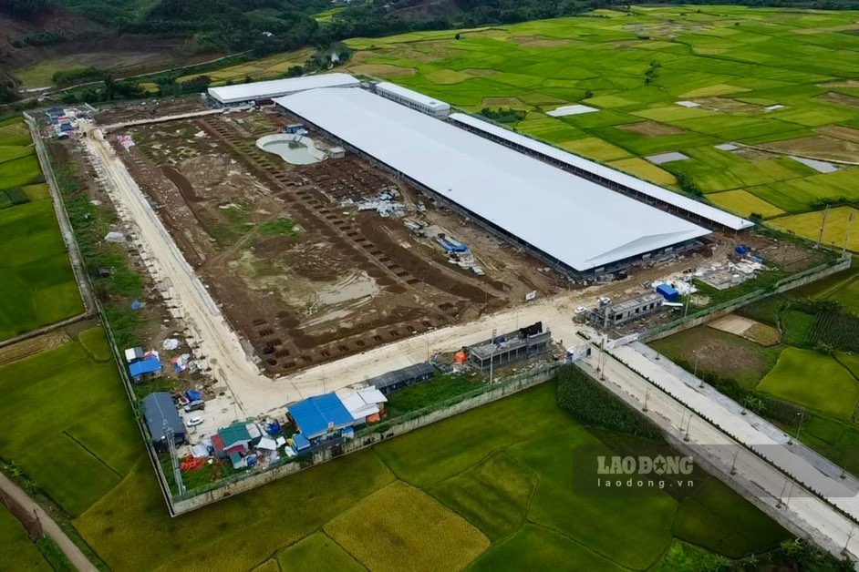 Tan Duong Industrial Cluster Project. Photo: Viet Bac