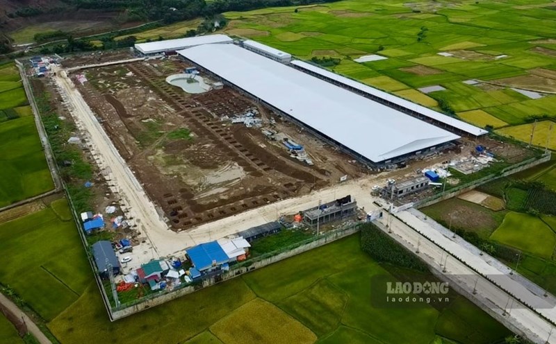 Tan Duong Industrial Cluster Project. Photo: Viet Bac