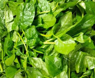 This vegetable that is popular with many people in this summer weather also helps lower blood pressure. Photo: Kieu Vu