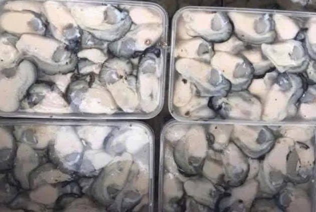 Oysters are one of the foods rich in zinc, good for eyesight. Photo: Kieu Vu