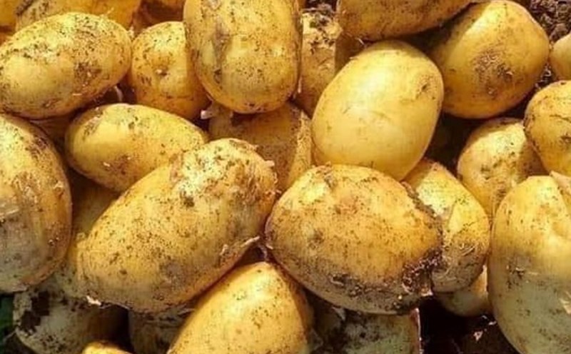 This is a type of product that can help reduce uric acid. Photo: Kieu Vu