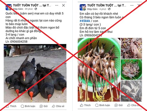 Ảnh một số trang facebook đăng tải bài viết buôn bán chim hoang dã. Ảnh: Công an Hưng Yên

