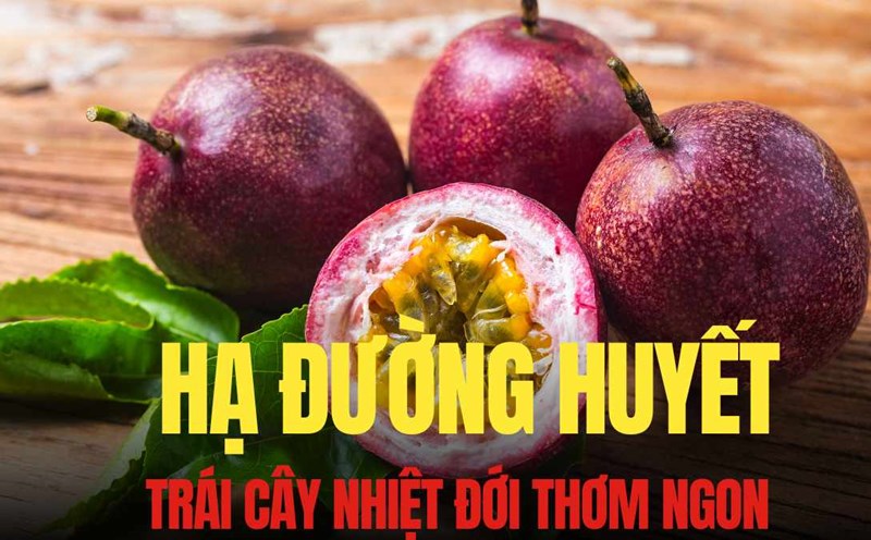 Lemon climbers and fruits help lower blood sugar and improve sleep naturally. Graphics: Tra My