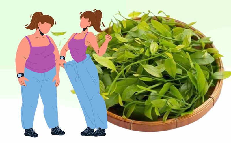 Gotuoi helps detoxify, cool down and support weight loss for women