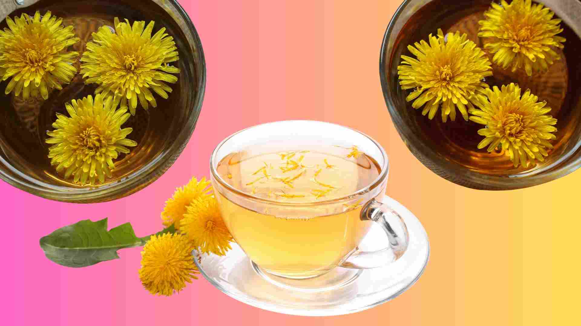 タンポポのお茶は、肝臓を保護する効果があります。グラフィック：低雲