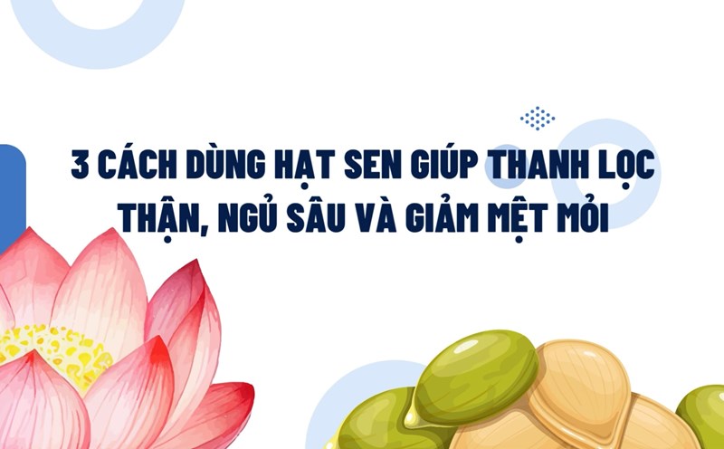 Tips on how to use lotus seeds to help purify the kidneys, sleep deeply and reduce fatigue