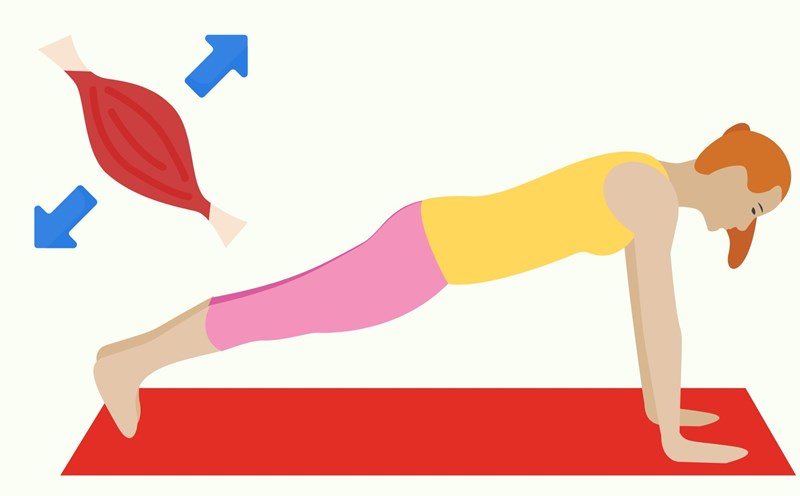 Exercise helps build muscle. Graphics: Thanh Thanh