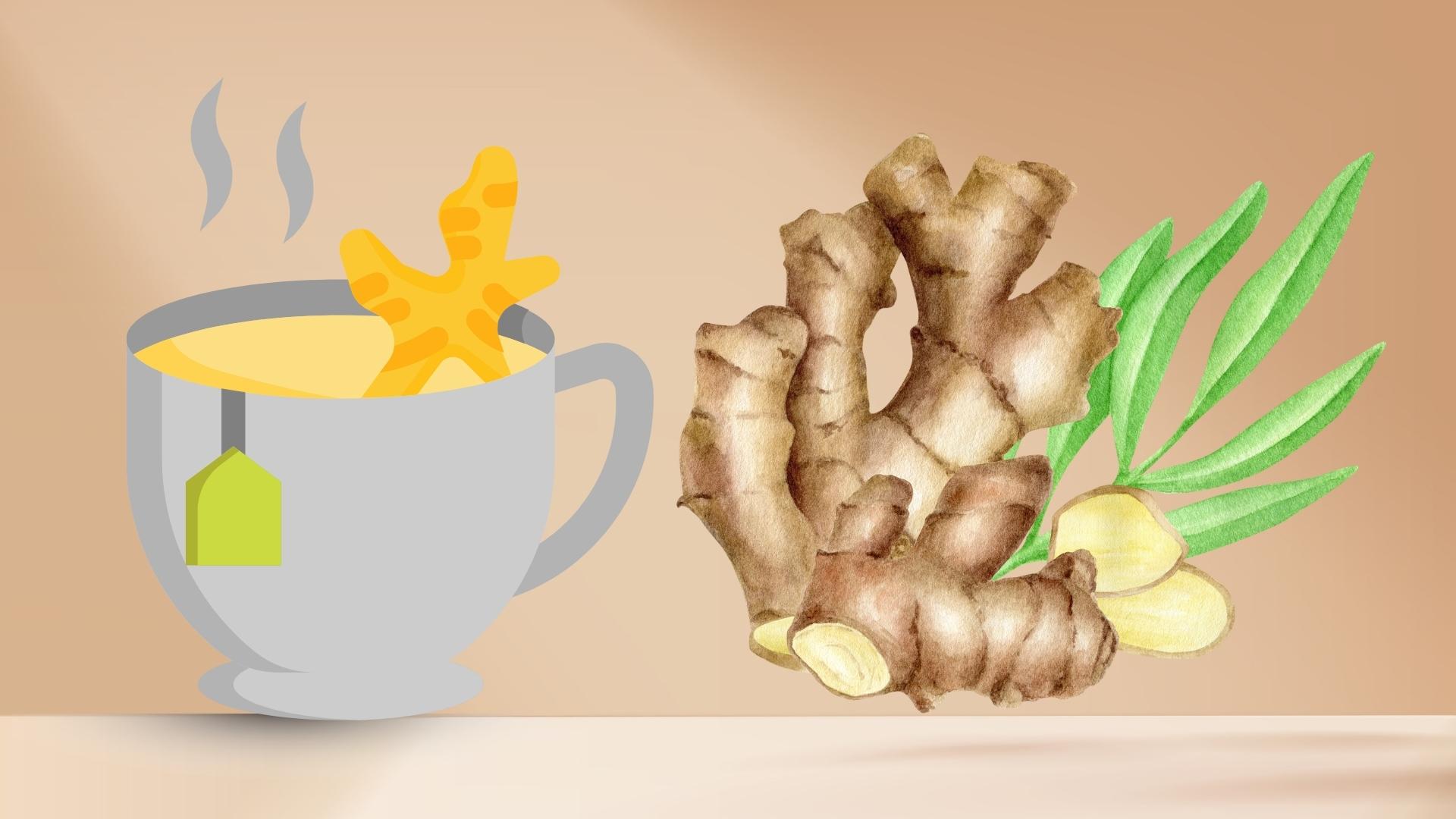 Tips for the ideal ginger tea intake to help control uric acid most effectively