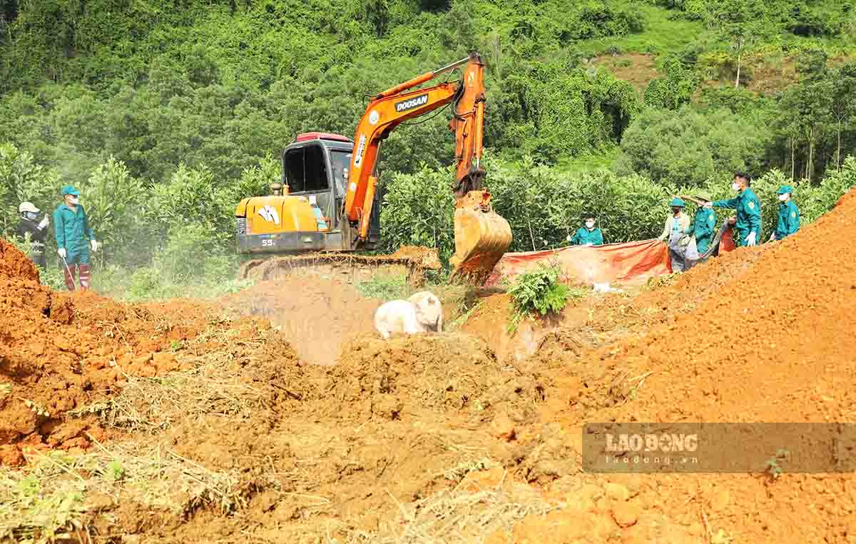 Cac dia phuong tien hanh tieu huy lon mac benh dich ta lon chau Phi. Anh: Viet Bac.