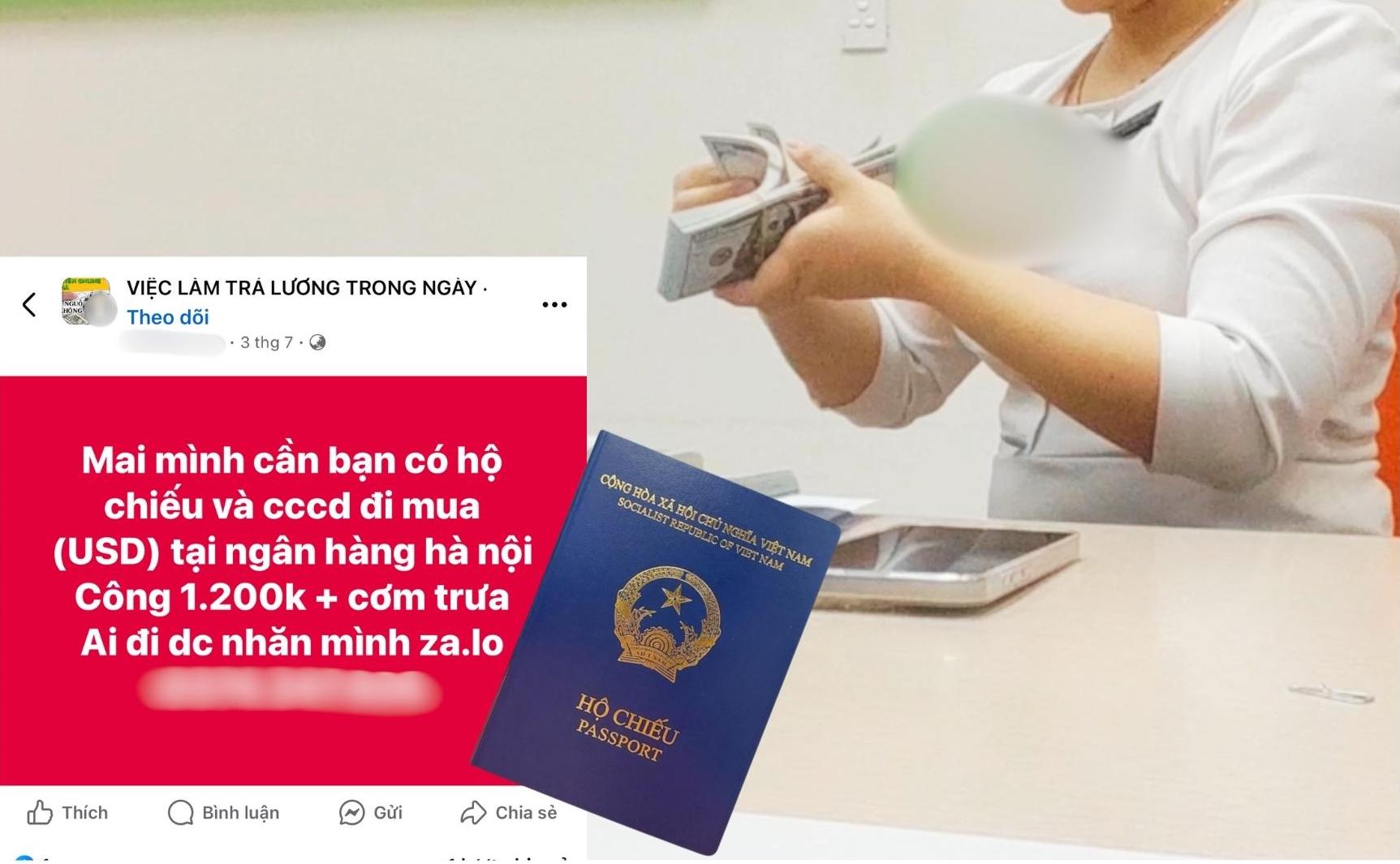 写真:PVグループ