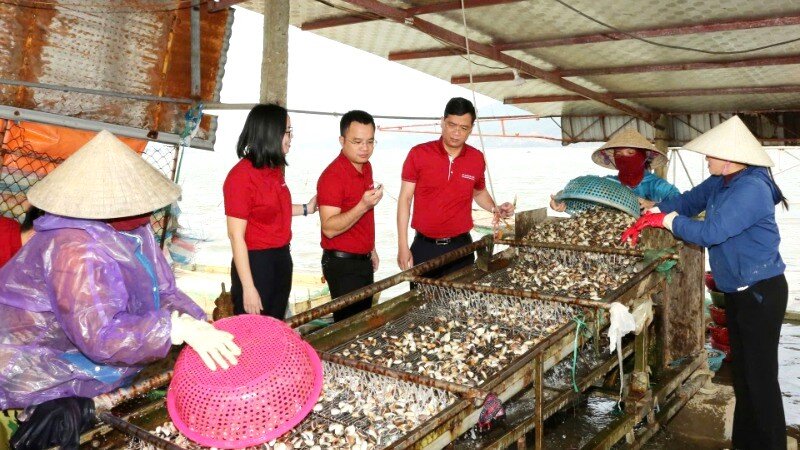 HTX nuoi trong, thu mua, xuat nhap khau thuy hai san Loan Hoan (Loc Ha, Ha Tinh) nho nguon von vay tu Agribank da co them co hoi mo rong quy mo san xuat.