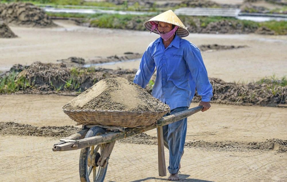 De lam ra hat muoi, nguoi dan phai trai qua nhieu cong doan nhu lam nen ruong, tuoi nuoc, phu cat, loc nuoc muoi, phoi nuoc va thu hoach. Anh: Quach Du