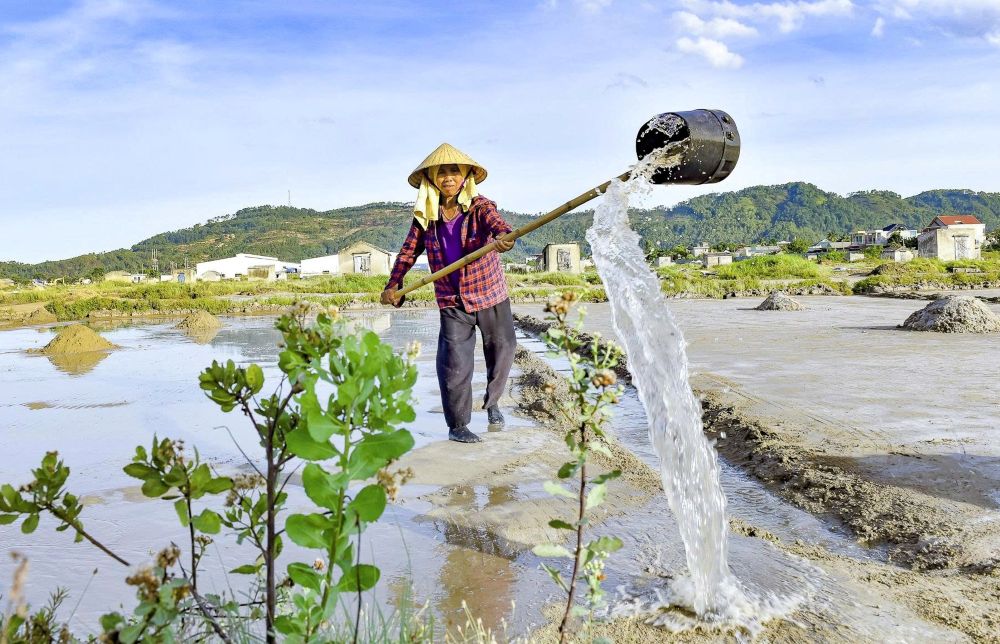 Theo nhieu diem dan, de lay duoc nuoc muoi, truoc tien phai phu mot lop cat len nen, de cat hut nuoc bien. Khi cat kho, se gom lai dua vao he thong loc tho so de lay nuoc muoi. Anh: Quach Du
