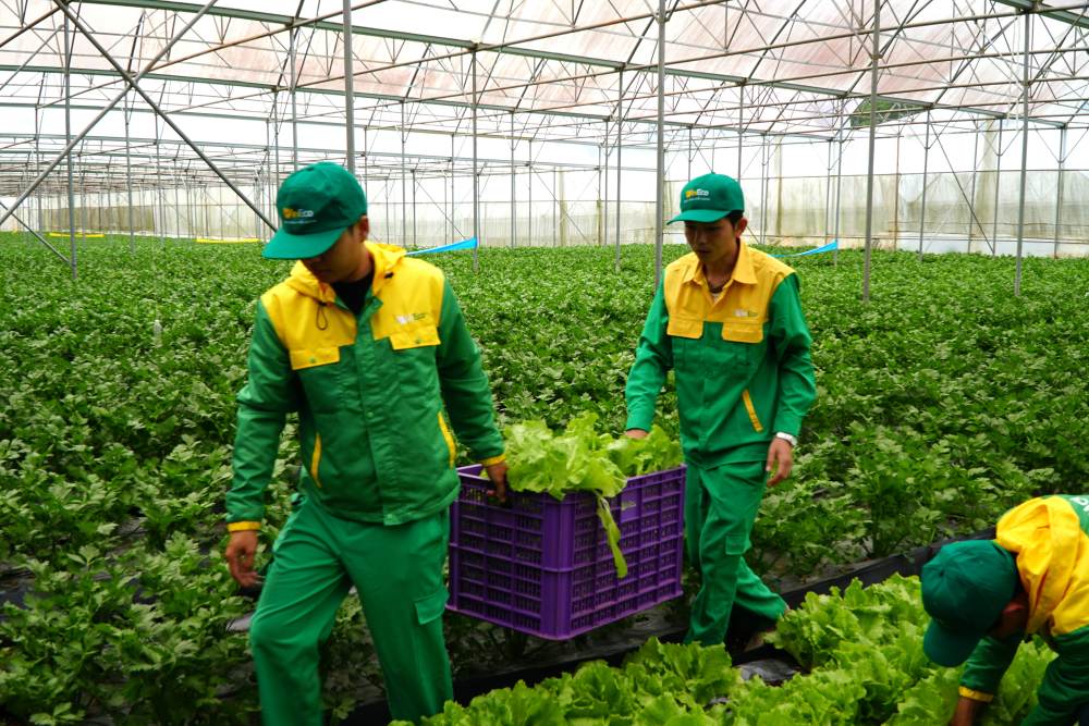 호치민시 원자재 지역에서 안전 식품 공급망 통제 강화