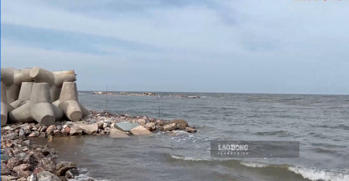 ニンビン省ハイティン村の兄弟2人が、父親と一緒に海岸沿いの漁場で溺死しました。写真:Ha Vi