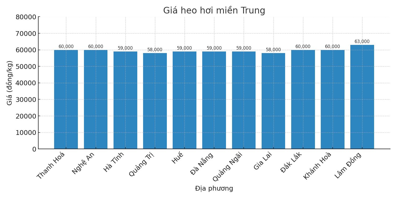 Gia heo hoi ngay 29.79tai khu vuc mien Trung. Do hoa: Thuy Linh