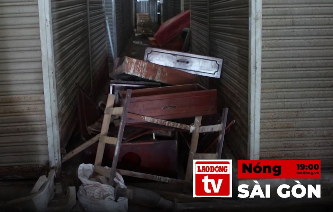 사이공 핫 뉴스 7월 29일