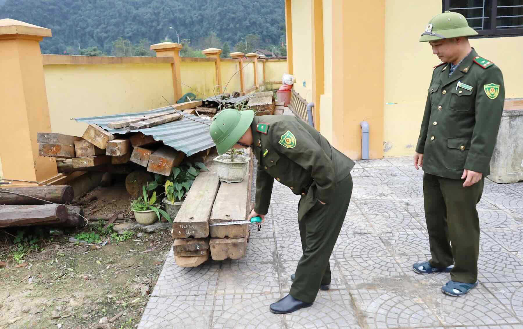 꽝찌성 산림보호국 산하 기관에서 압수된 위반 불법 목재 증거물. 사진: 히엔 빈