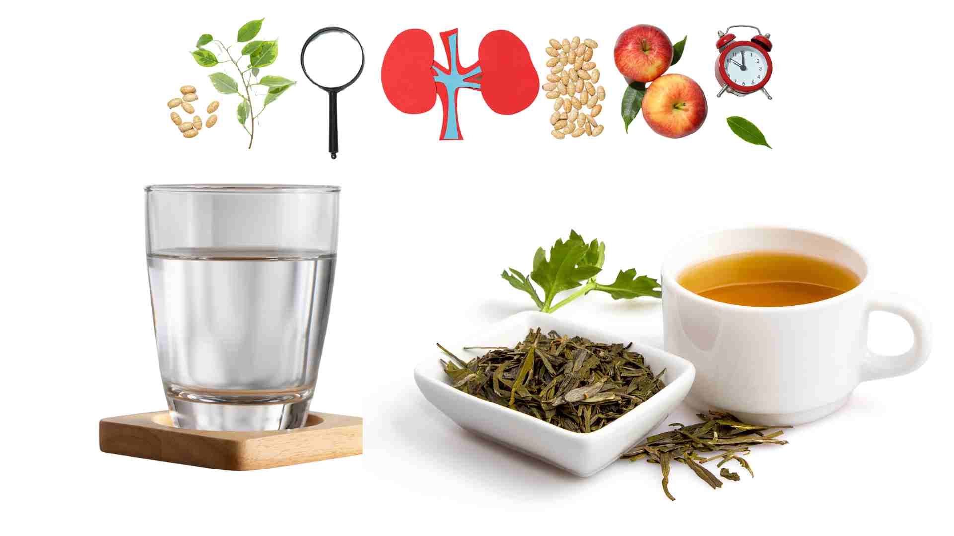 Drinking water and tea properly is good for the kidneys. Graphics: Ha May