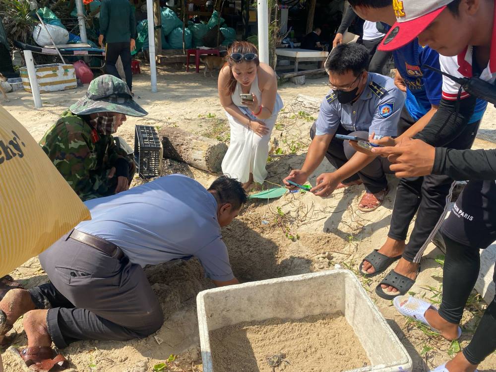 Luc luong chuc nang dua rua con tu o len bo. Anh: Nguyen Linh