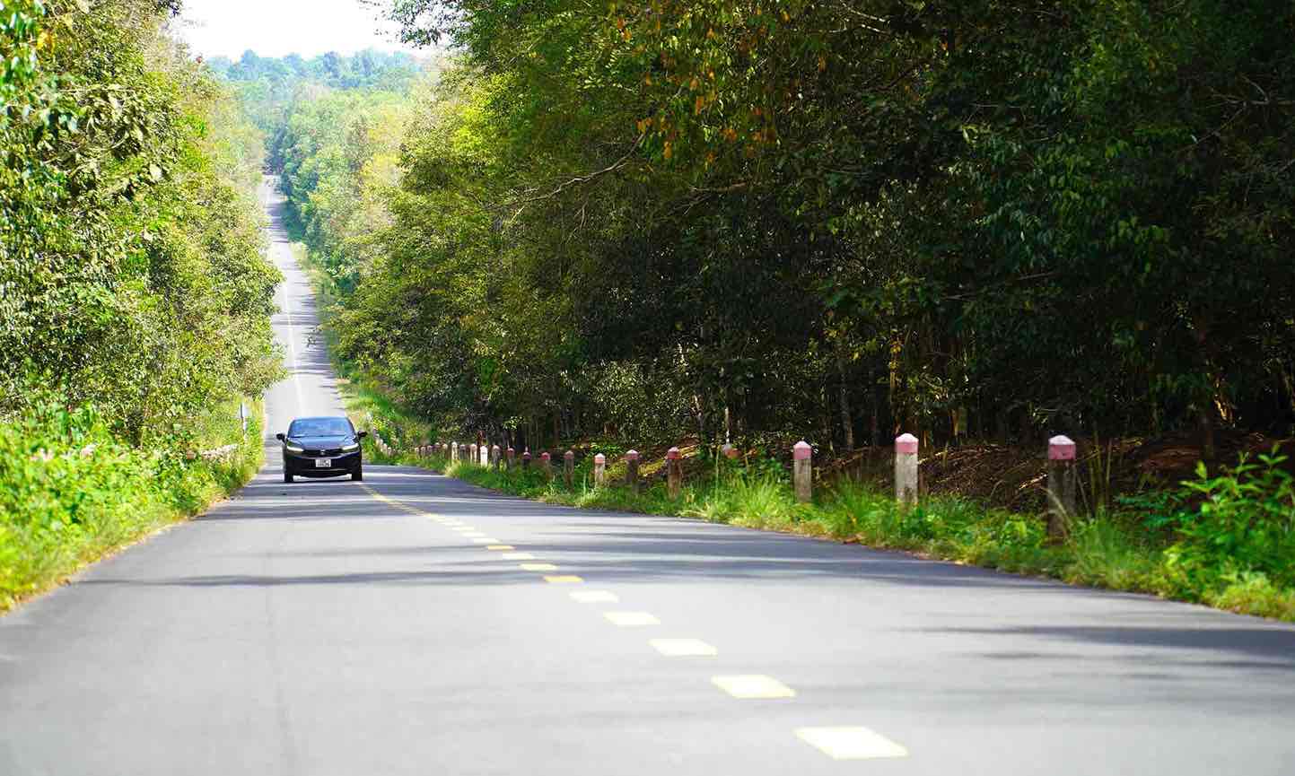 Road to the Ma Da bridge project, Dong Nai province. Photo: HAC