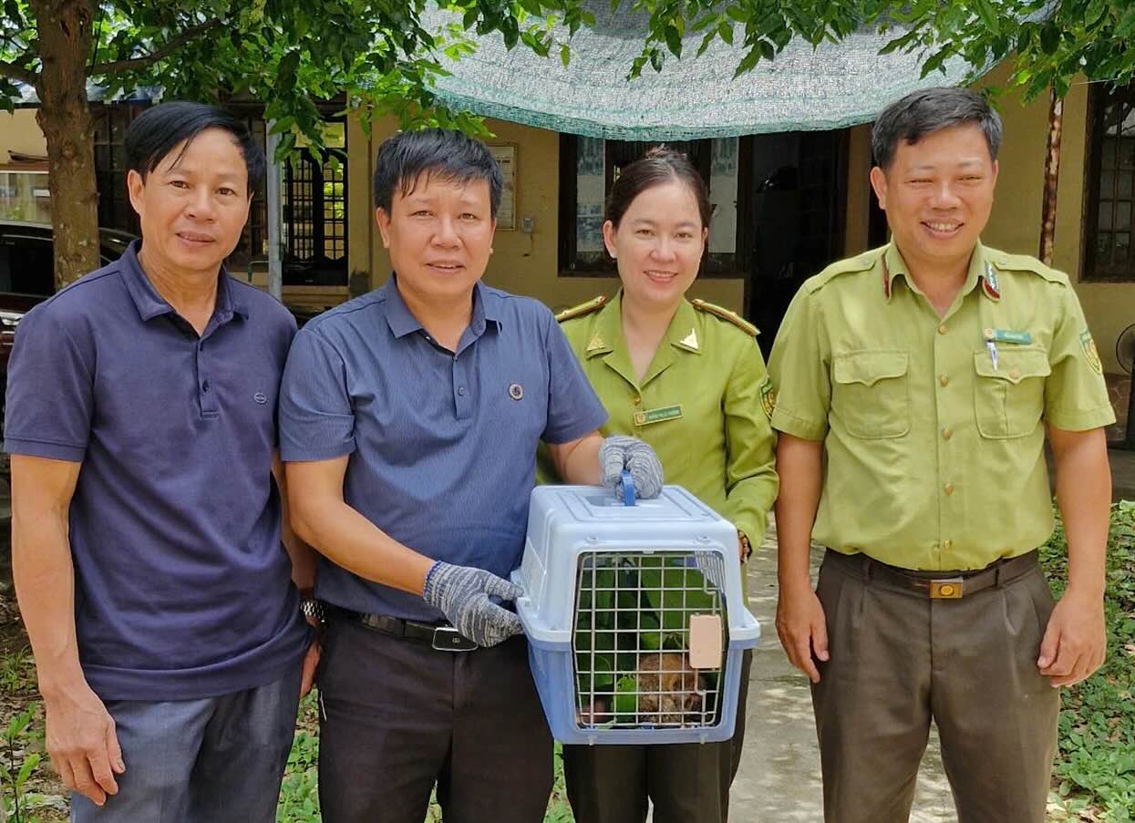 珍しい貴重な野生生物が受け取られます。写真：Phong NHA国立公園の救助、保全、開発センター-Ke Bang