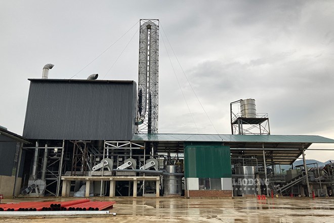 Dozens of workers and laborers at Dien Bien Cassava Starch Processing Factory have received their salaries after a series of articles reported by Lao Dong Newspaper. Photo: Quang Dat