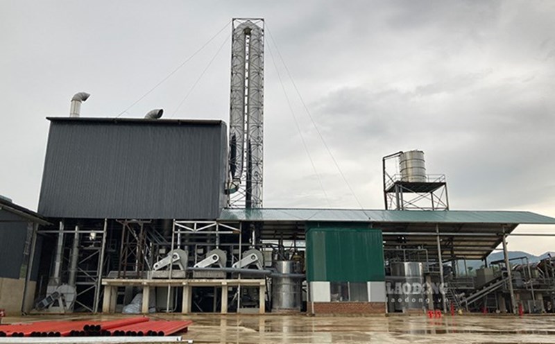 Dozens of workers and laborers at Dien Bien Cassava Starch Processing Factory have received their salaries after a series of articles reported by Lao Dong Newspaper. Photo: Quang Dat