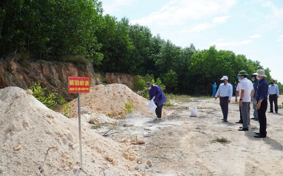 Pho Chu tich UBND thanh pho Tran Nam Hung kiem tra thuc te cong tac phong, chong dich ta lon chau Phi tai xa Xuan Phu. Anh: UBND TP Da Nang