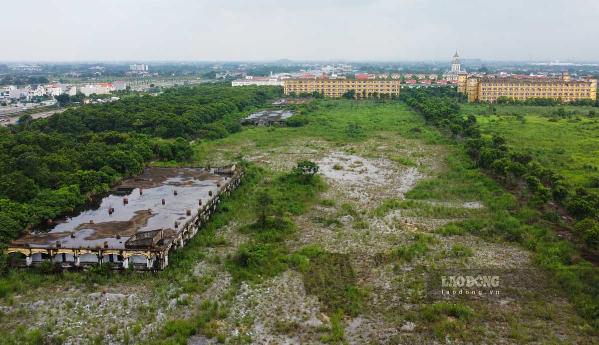 Dentro de la Universidad de Ha Hoa Tien Weeded Weeds. Foto: HA VI