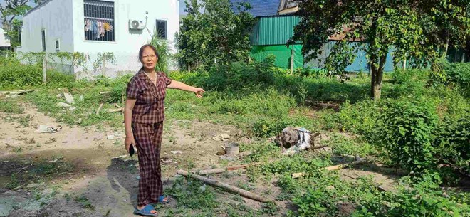 La Sra. Nguyen Thi Hong (nghe an) debe pagar 4,497 mil millones para convertir 300 m² de tierras de jardin a tierras residenciales. Foto: Quang dai