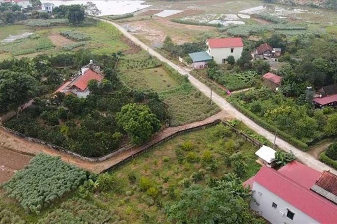 Gia dat duoc du bao sap co bien dong lon. Anh: Phan Anh