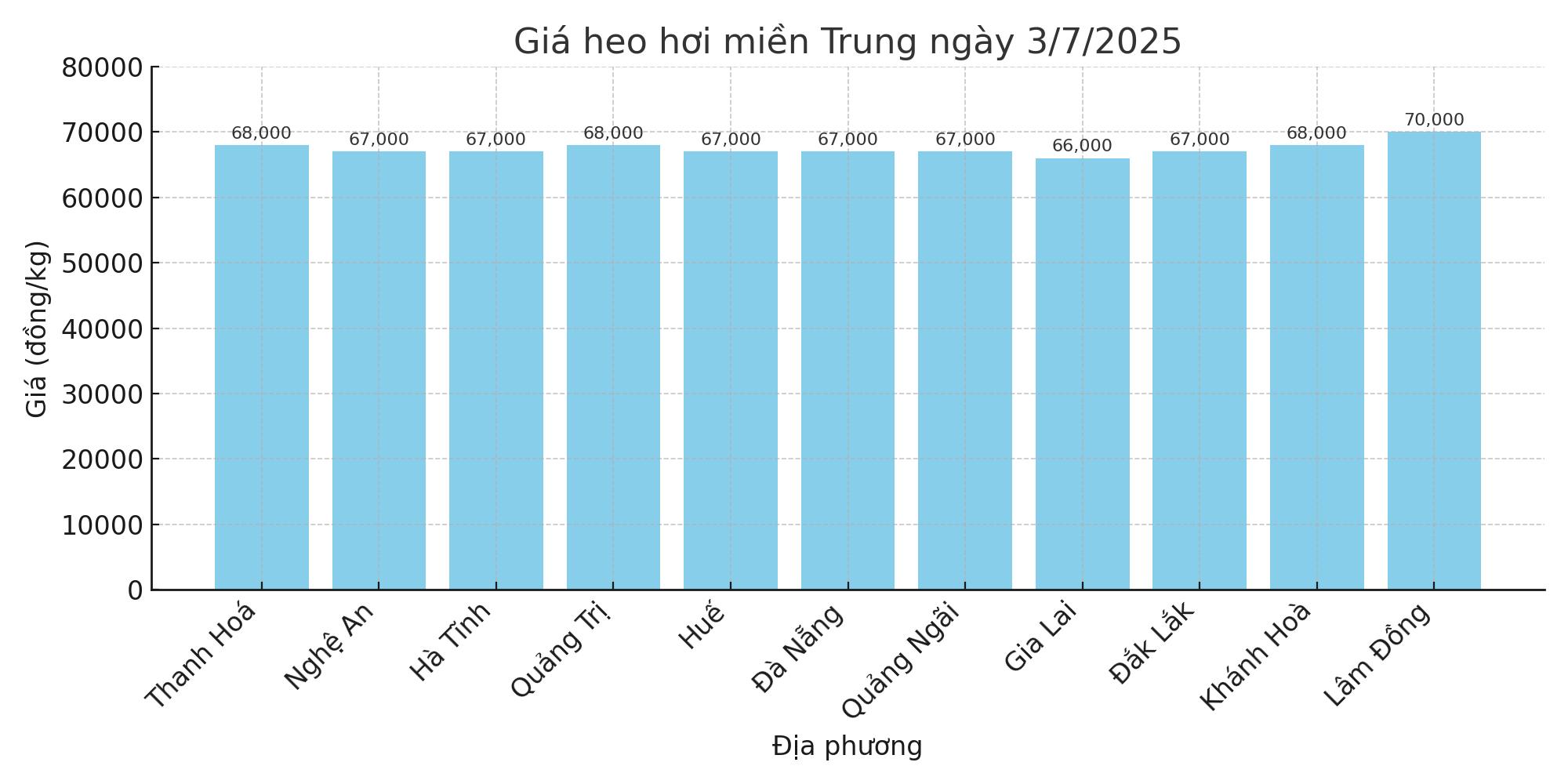 Gia heo hoi hom nay ngay 3.7 tai khu vuc mien Trung - Tay Nguyen. Do hoa: Thuy Linh.