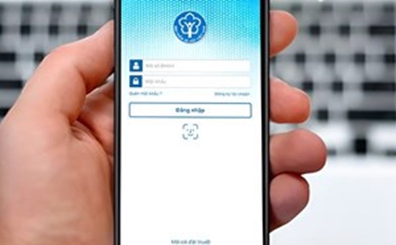 Workers need to check on the VssID application to grasp information about the situation of enterprises paying social insurance. Photo: Department of Information Security