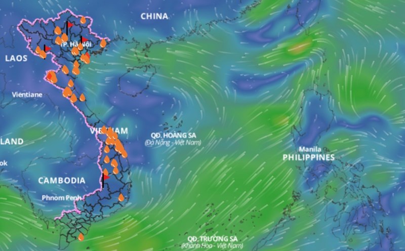 It is forecasted that in the next 24 hours, the low pressure area is likely to strengthen into a tropical depression. above is an image of the wind field at sea updated at 5:00 p.m. on July 3. Source: Vietnam Disaster Monitoring System