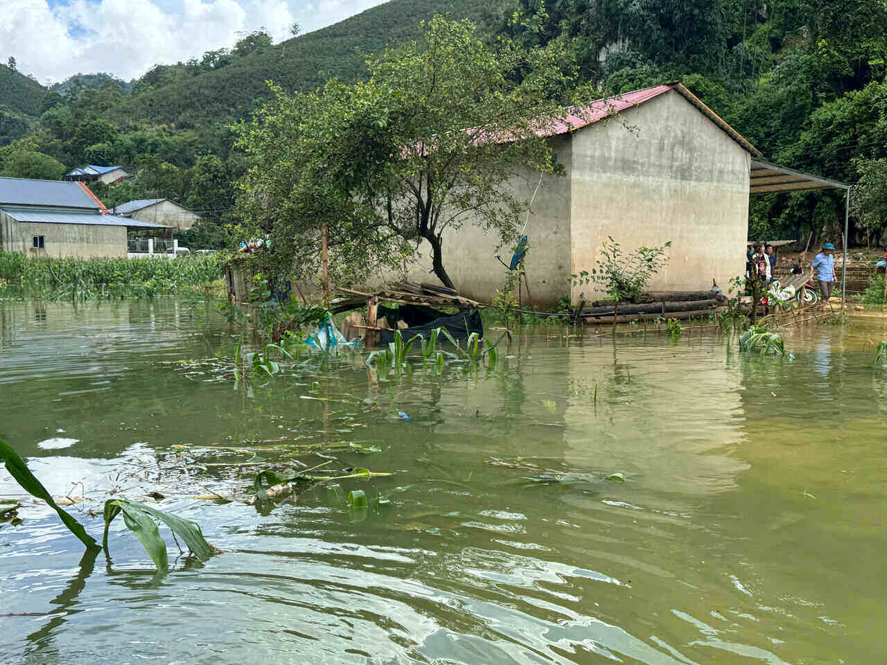 Cac nha co nguy co ngap sau duoc luc luong tai cho di roi do dac ra khoi khu vuc ngap de dam bao an toan. Anh: Truong Son