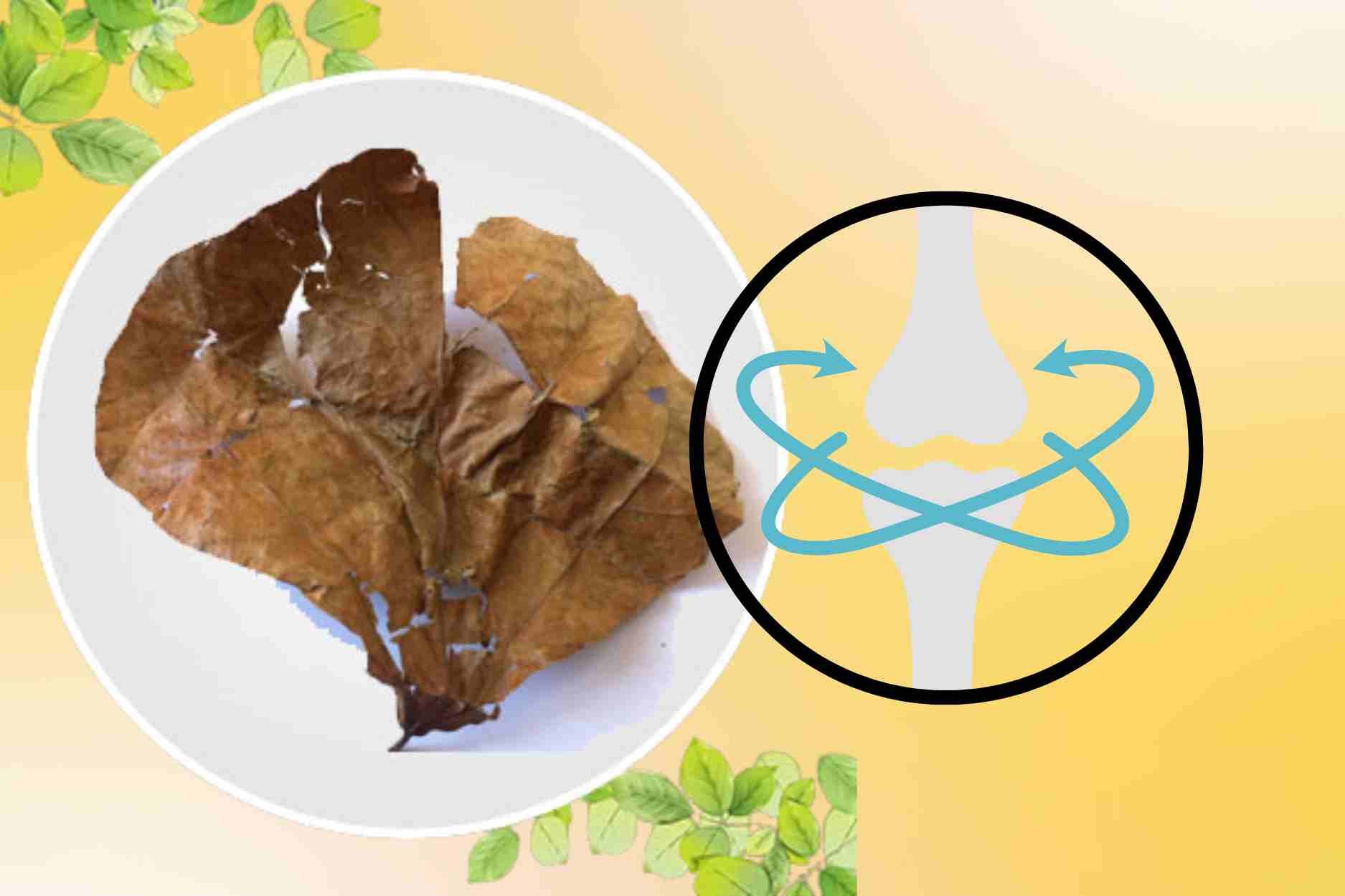 Coconut medicine helps relieve bone and joint pain and low numbness