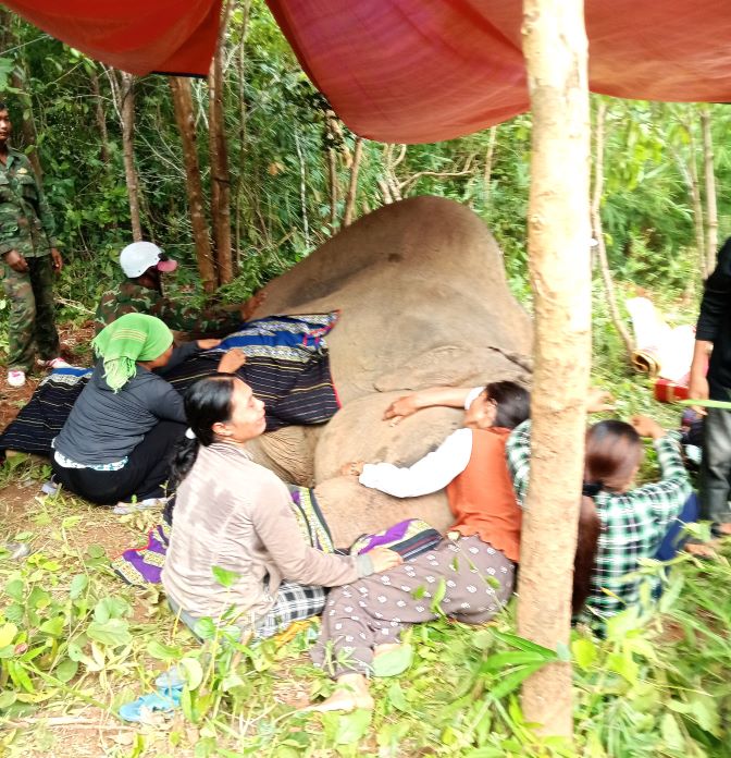 Nguoi than khoc thuong cho voi Bak Kham. Anh: Y Thanh