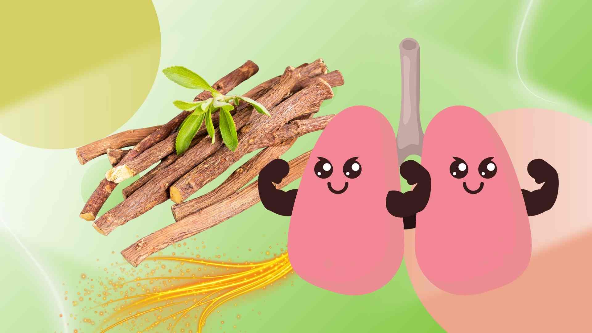 Traditional medicine helps clean the lungs, reducing cough in just 7 days. Graphic photo: Hoang Loc